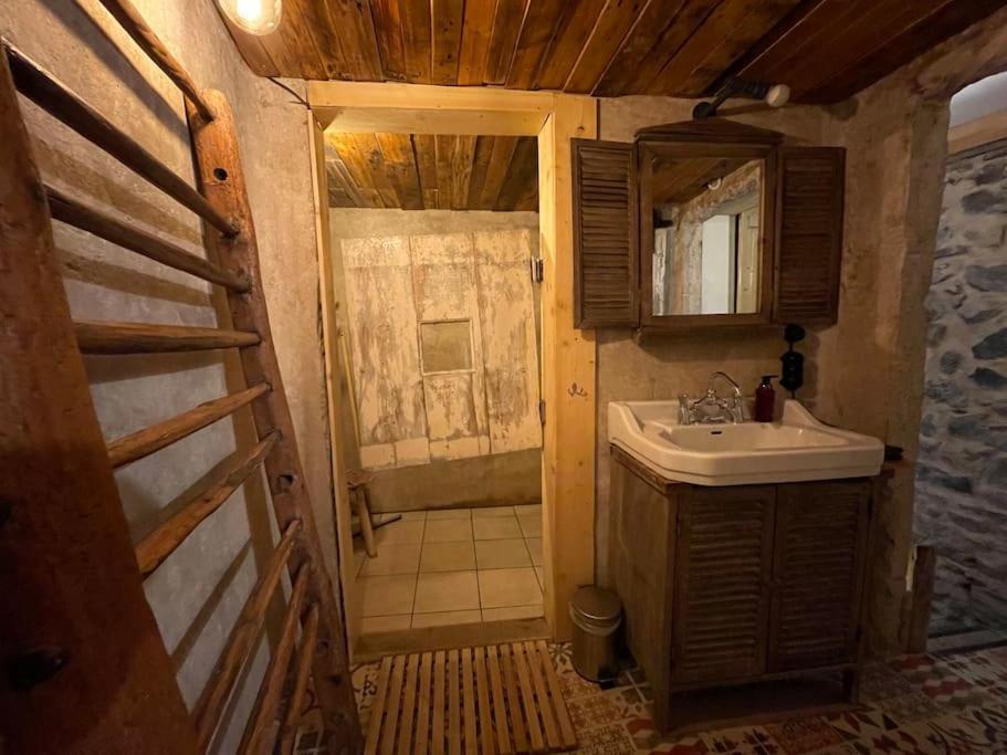 Maison Vigneron - Maison Et Studio Saint-Didier-sur-Beaujeu Eksteriør billede